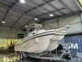 Grady-White Tigercat F26 Multi hull