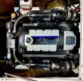 Black Watch Deep V 260