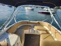 Bayliner 245 Bowrider