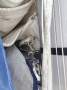 Balance Catamarans 451:Main sail and gear