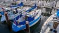 Doven 30 GREAT FAMILY CRUISER/TWILIGHT RACER, NEW RIGGING++
