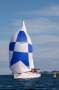 Bavaria 38