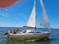 Boomerang 20