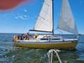 Boomerang 20