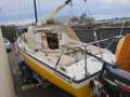 Boomerang 20