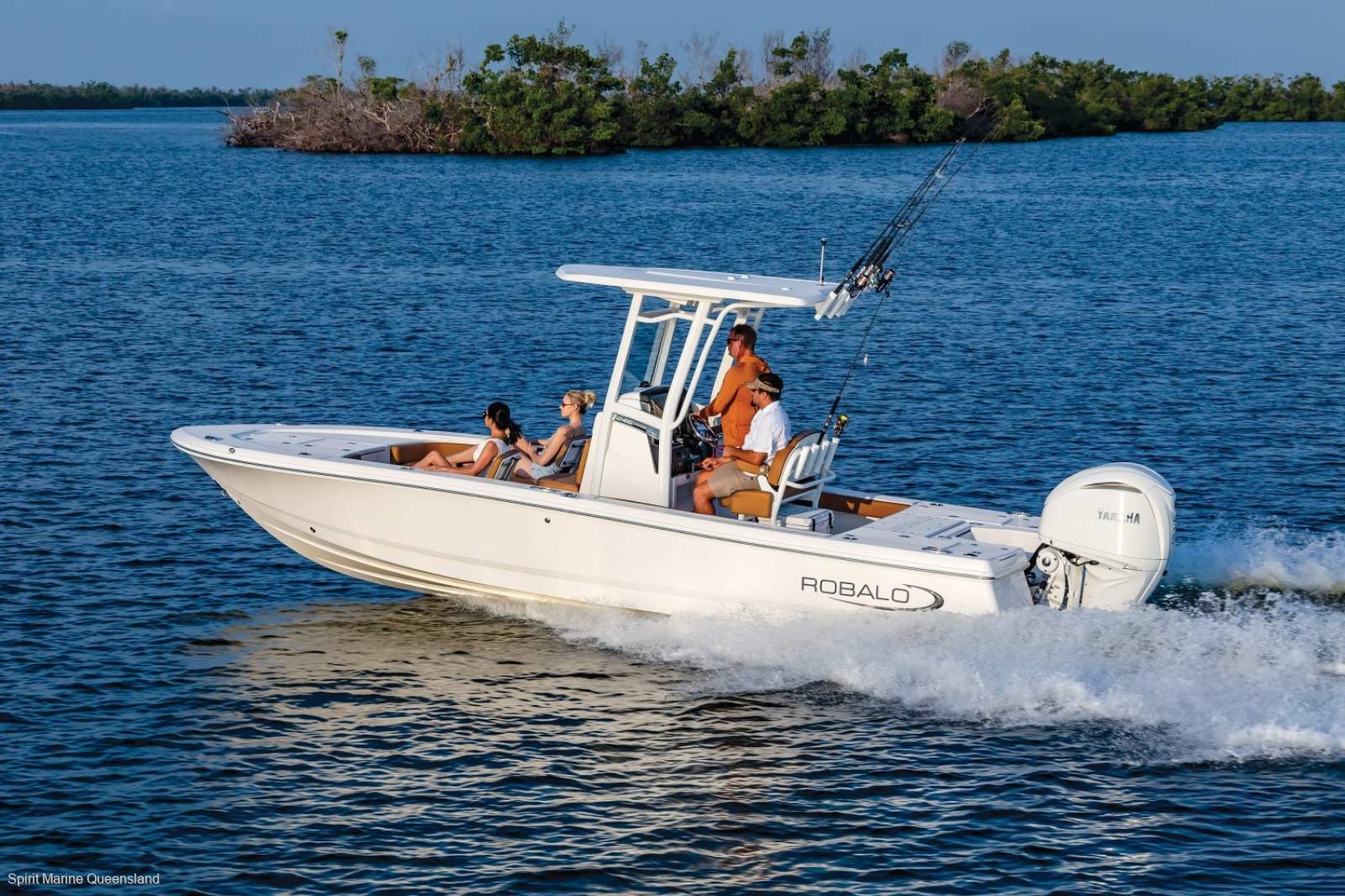 Robalo 246 Cayman