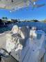 Sea Fox 288 Commander 2021, Very Low Hours, Great Buying!