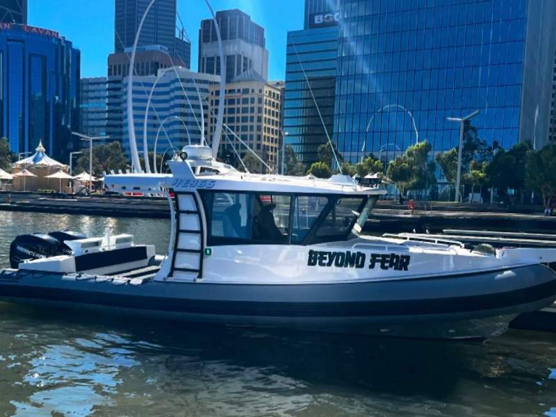 Naiad 8.5 RIB