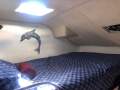 Simpson 10.5 Sail Catamaran Simson inspiration