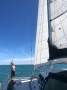 Simpson 10.5 Sail Catamaran Simson inspiration