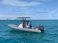 Gemini Waverider 650