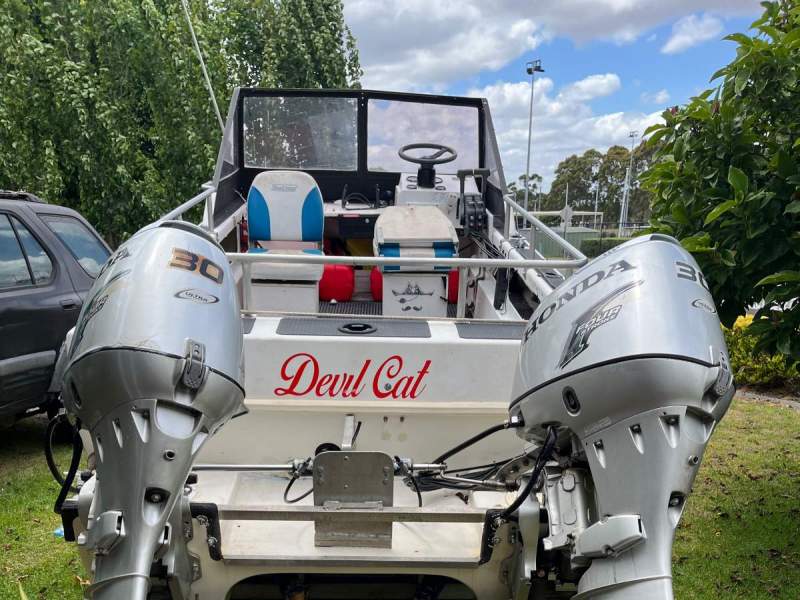 3D Marine Devi cat
