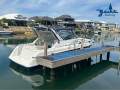 Leeder Sportiva 320