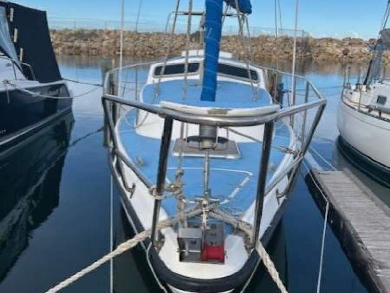 Roberts 29