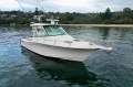 Grady-White Express 330
