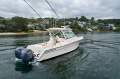 Grady-White Express 330