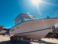 Bonito Ocena Runner 2200