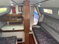 Austral Clubman 8
