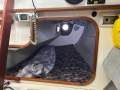 Austral Clubman 8