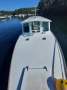 30 ft Timber Cruiser