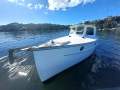 30 ft Timber Cruiser