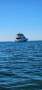 Riviera 64 Sports Motor Yacht MAN V12
