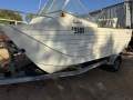 Websters Twinfisher 5.0 Runabout