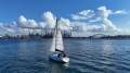 Beneteau Oceanis Clipper 361
