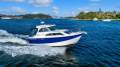 Bayliner 246 Discovery