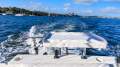 Bayliner 246 Discovery