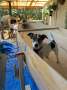 A Custom strip plank canoe