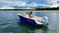 Grady-White Freedom 235