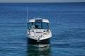 Sea Ray 305 Hard Top Sundancer LOW HOUR YANMAR DIESEL FULLY OPTIONED