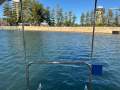 Seaquest 2800 Sportsman Flybridge Cruiser