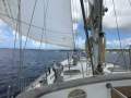 Nautica 60