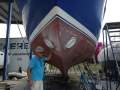 Nautica 60