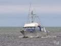 Precision Marine - FV STELLA - Commercial Charter Fishing Vessel