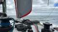 Neel Trimarans 43
