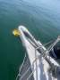 Neel Trimarans 43
