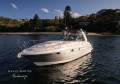 Monterey 330 Sports Yacht - REBUILT ENGINE AND STERN DRIVES - NEW TEAK DECK:2007 Monterey 330 Sports Yacht For Sale