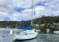 Clansman 30