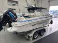 Haines Signature 550BR