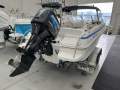 Haines Signature 550BR