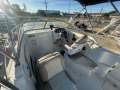 Campion 602 Sports Utility
