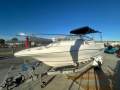 Campion 602 Sports Utility