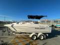 Campion 602 Sports Utility
