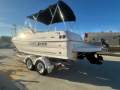 Campion 602 Sports Utility