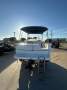 Campion 602 Sports Utility
