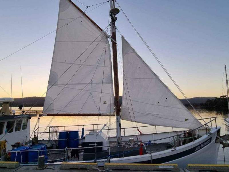 Lacco Timber Cruiser