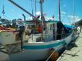 Lacco Timber Cruiser